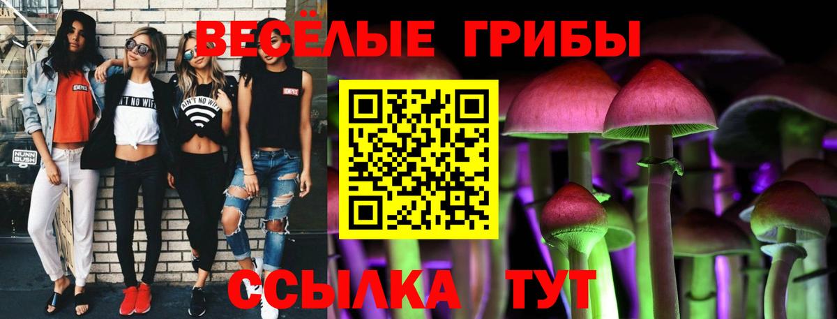 Галлюциногенные грибы Psilocybe  Вход с VPN  Кудрово  Псилоцибиновые грибы ЛСД 